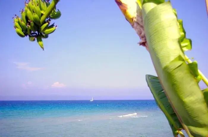Thalassa Studios Zakynthos