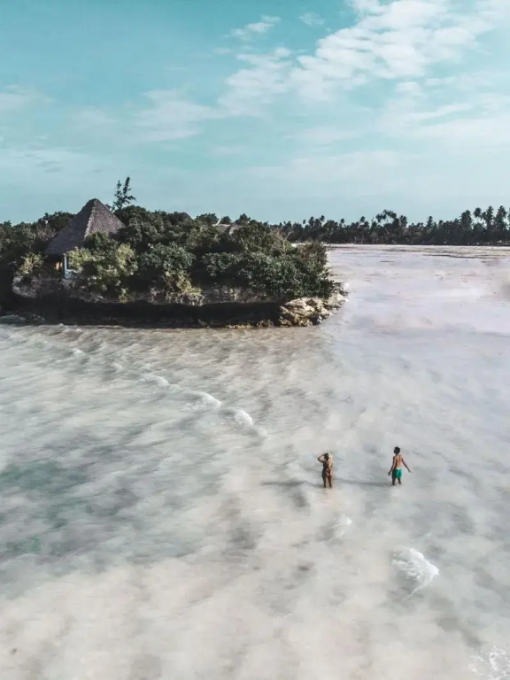 The Island - Pongwe Lodge