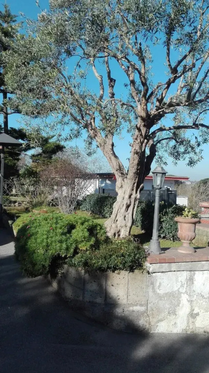B&B Il Castagnaro