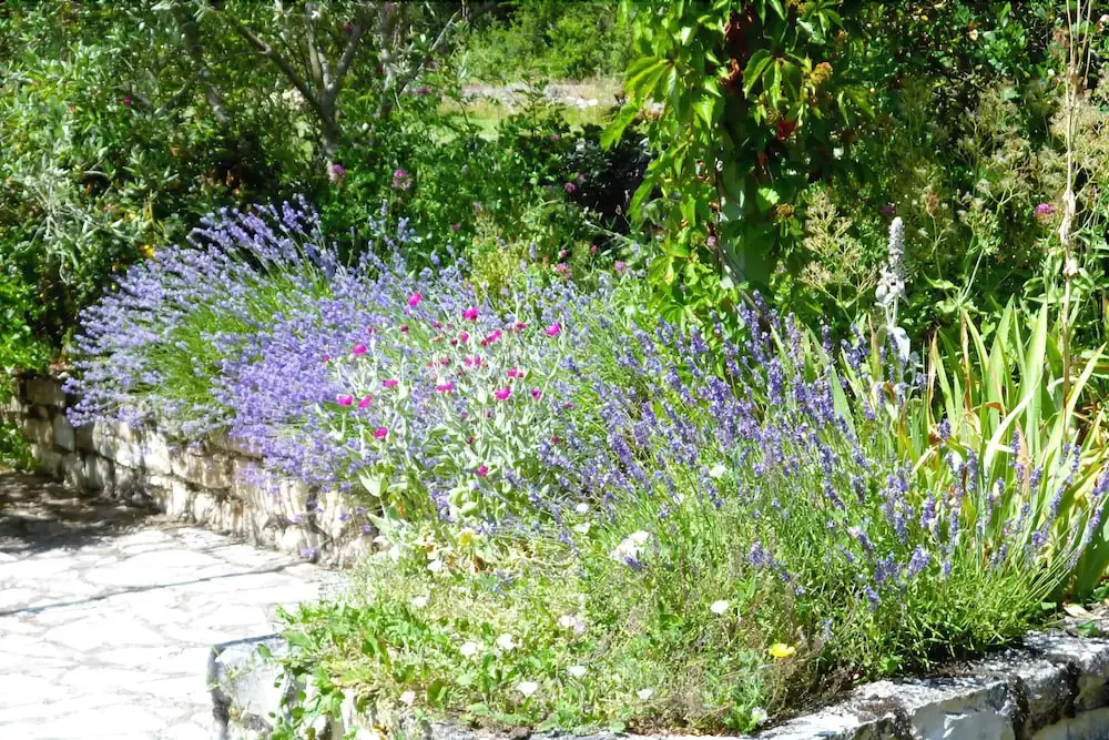 La Grange de Marcillac
