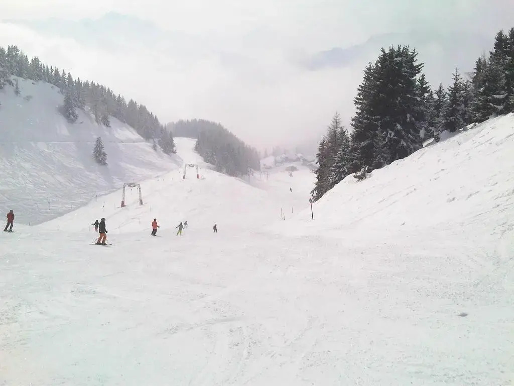 Chalet Grazia