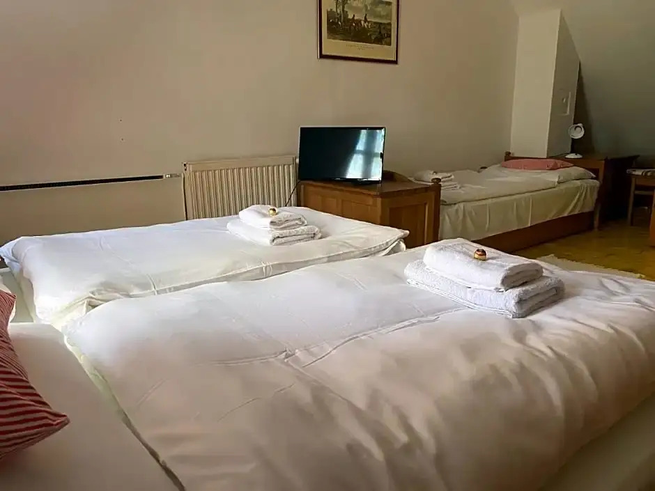 Sárkány Bio Panzió