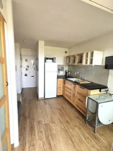 Appartement climatise Vue Mer 208