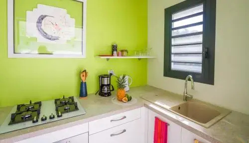 Villa Iguane House