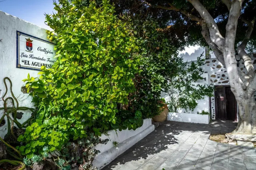 Rooms & Suites Terrace 3A