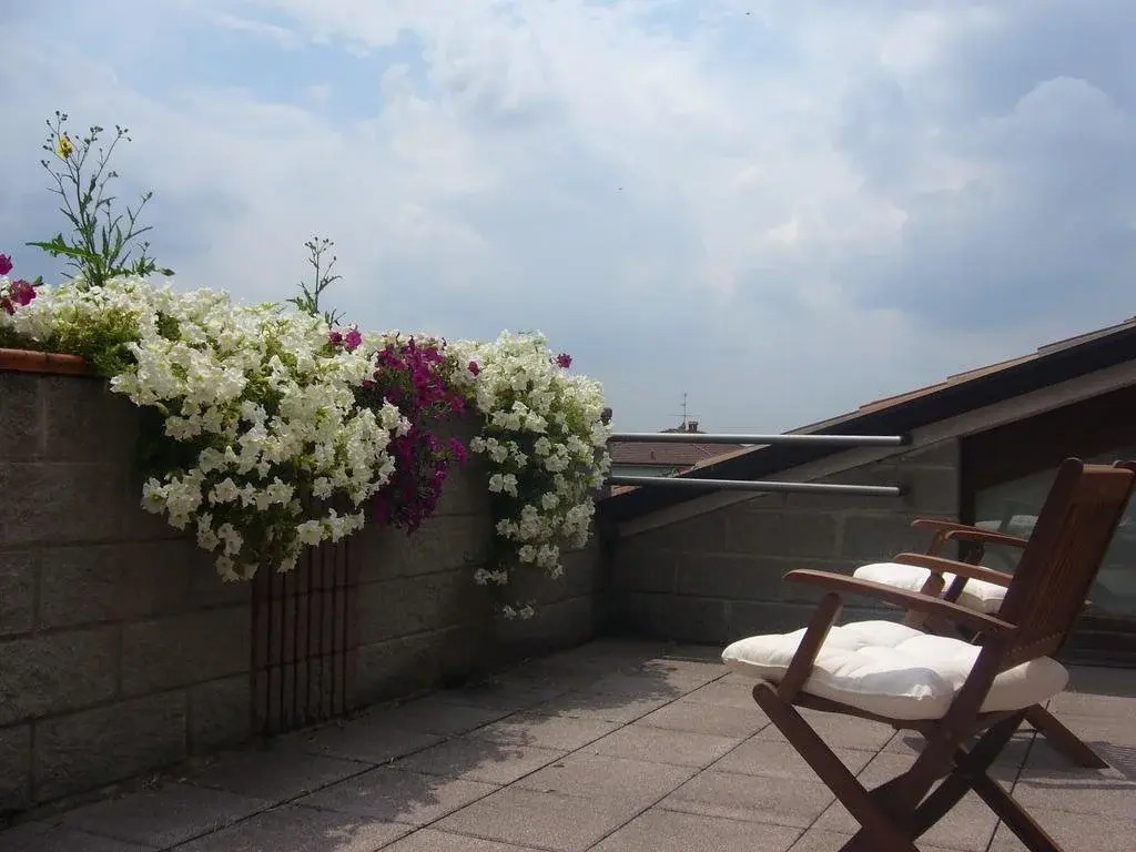 The Flower Garden