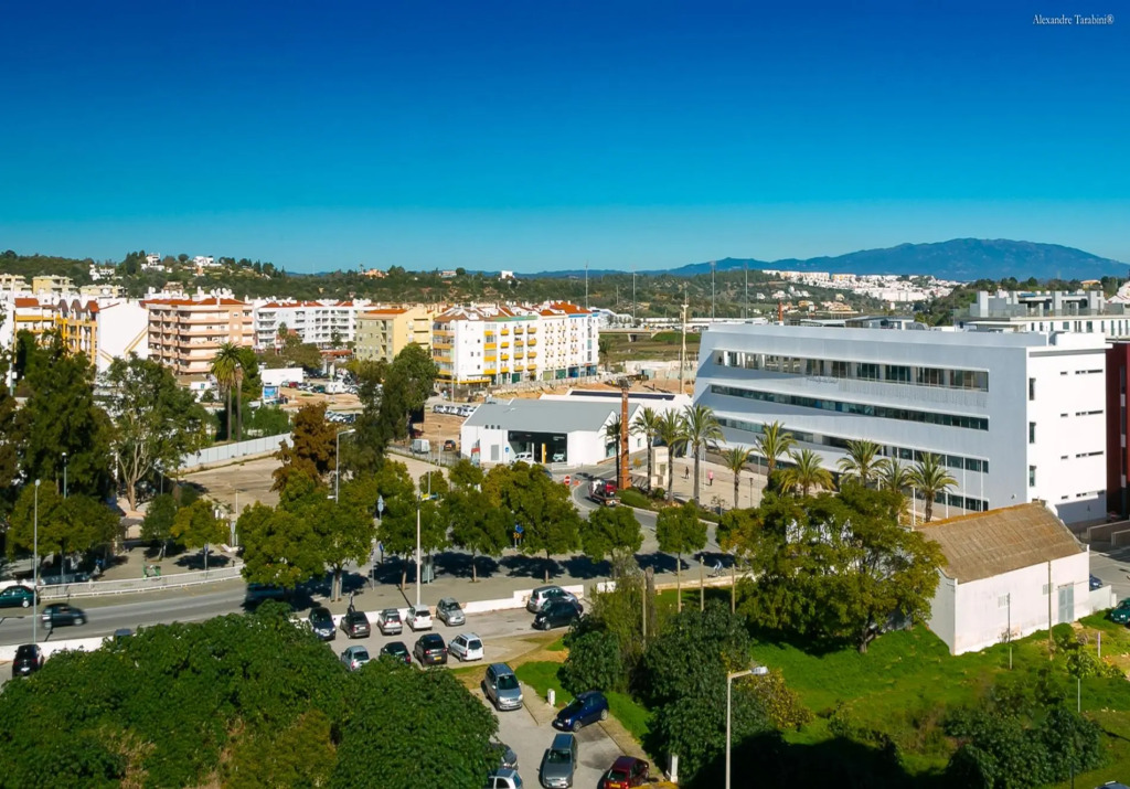 B26 - Palmeiras Top-Floor Apartment