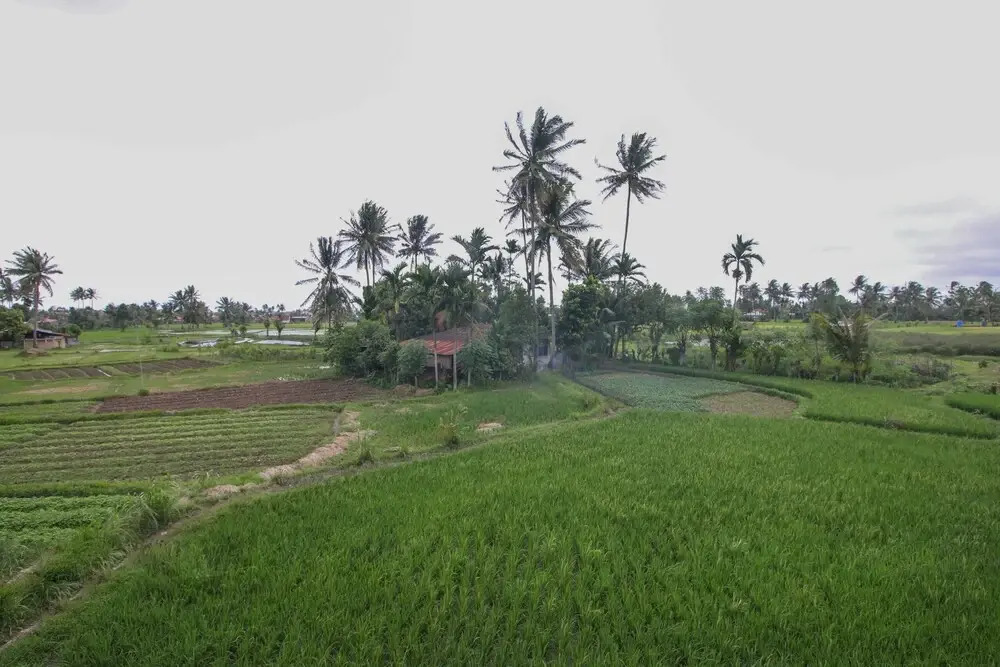 Airy Syariah Pauh Djamaluddin Wak Ketok 20 Padang