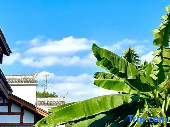 Qiyu Homestay