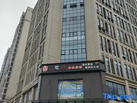Starlight E-sports Homestay (Ningxiang Haode)