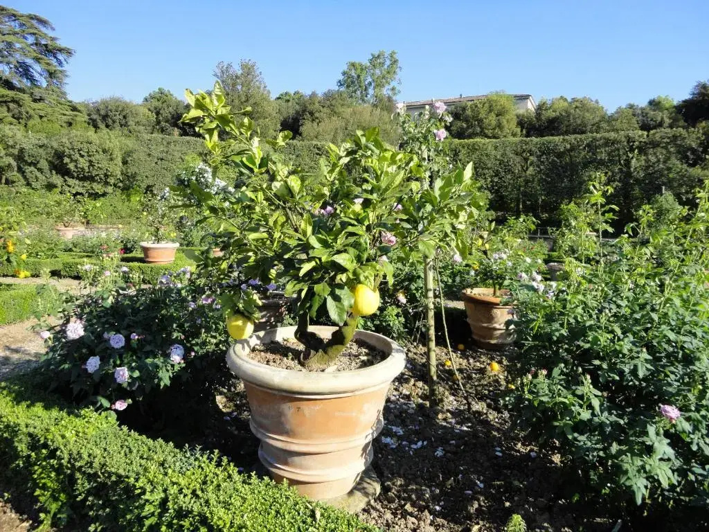 appartamento Firenze Careggi