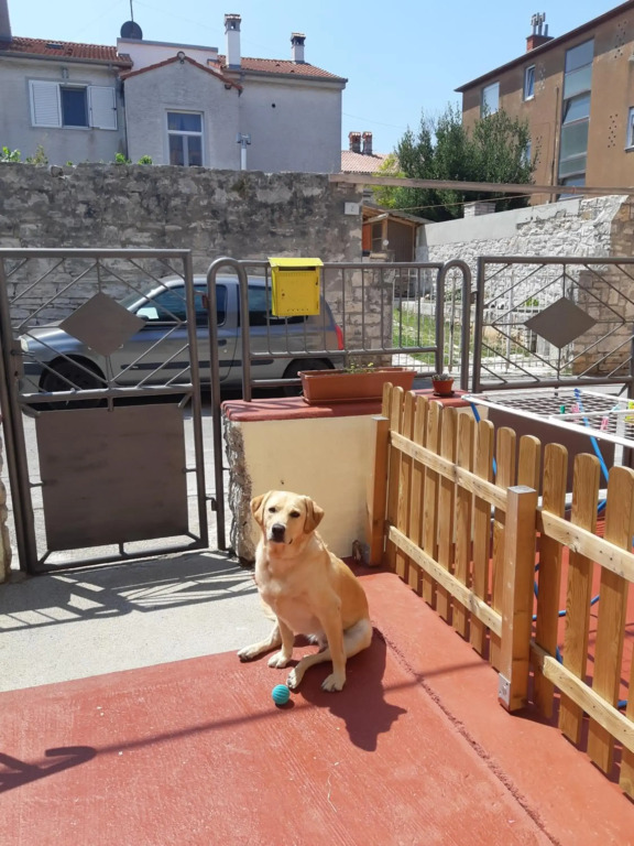 Studio apartman Danijela