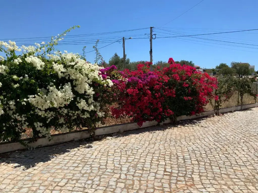 Guest House Alfarrobeiras