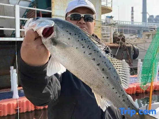 Qingdao Bosai East Sea Fishing Resort