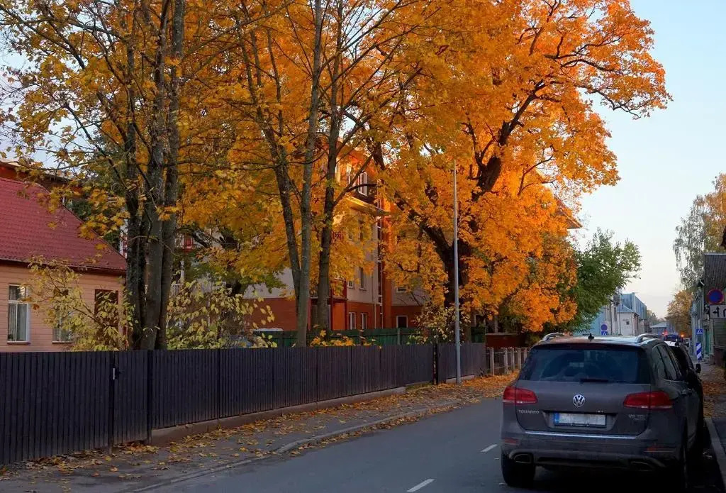 Quiet Romantic Studio plus parking, Tartu Home