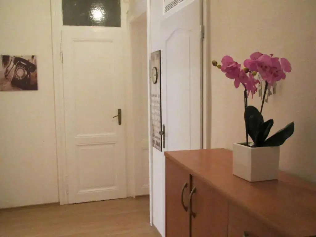 Apartment Fairy Tale