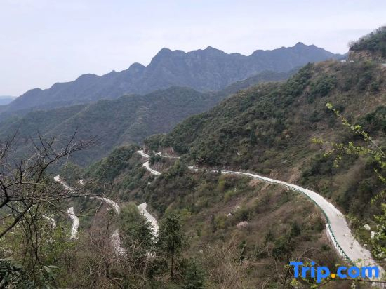 Jing County Qingzhilin Farmstay