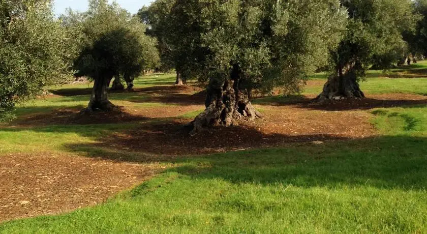 Appartamento in Ostuni