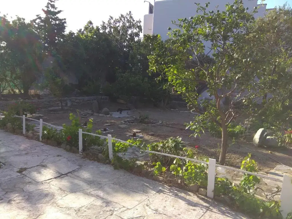 Alex Studios Tinos