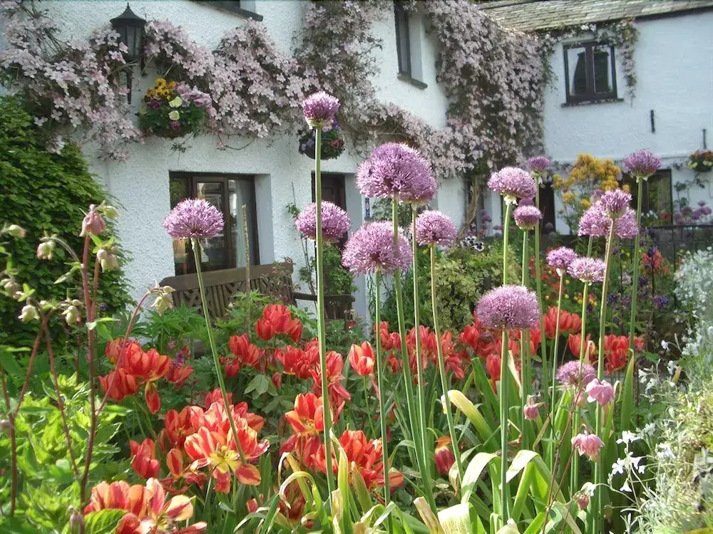 Buckle Yeat Guest House