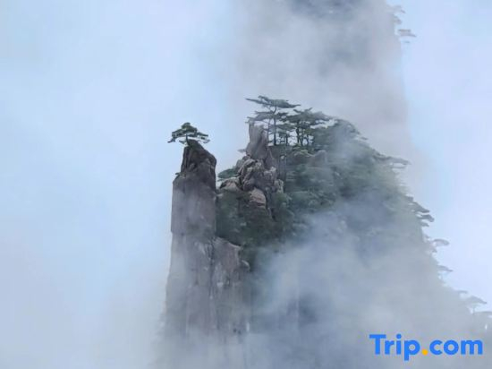 Huangshan Yunqu Qinxiang Homestay