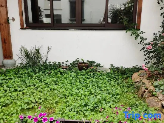 Shanshui Yake Guesthouse