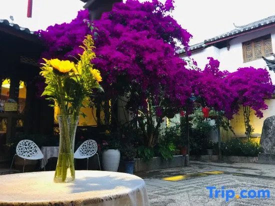 Introduction of Yizhen Daydream Homestay (Lijiang Ancient City Mufu Branch)