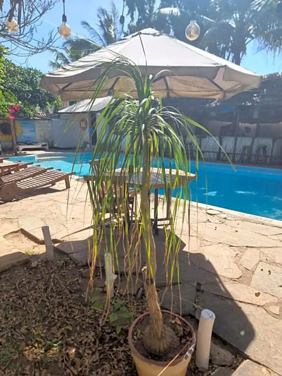 Tulia House Backpackers