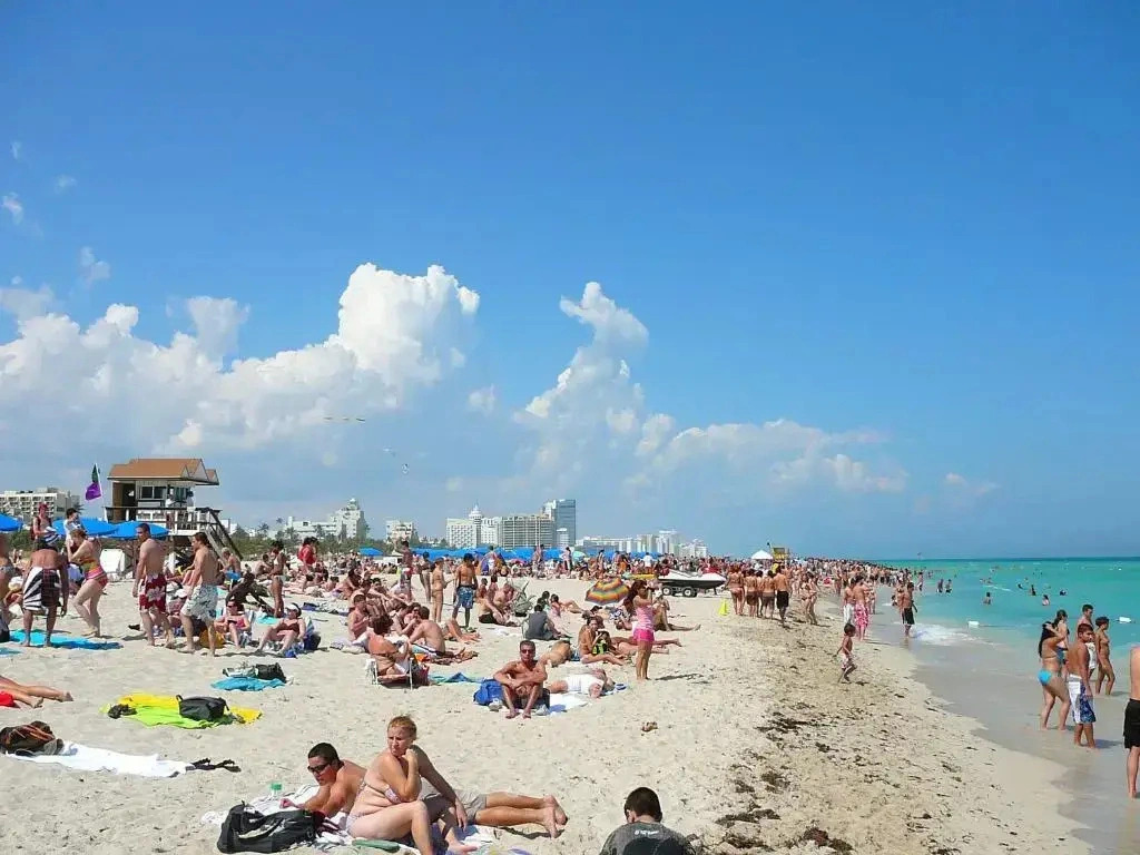 The Villas at Milano South Beach - 1 Bedroom Condo - SBR 54876