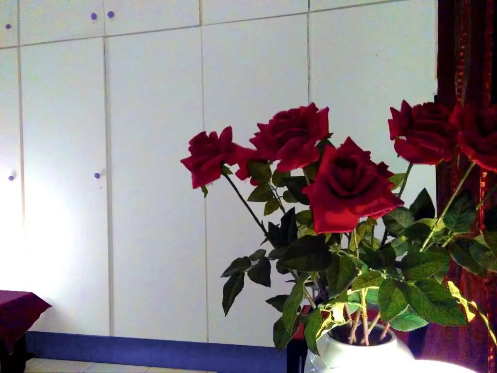 S.D APARTMENT 2