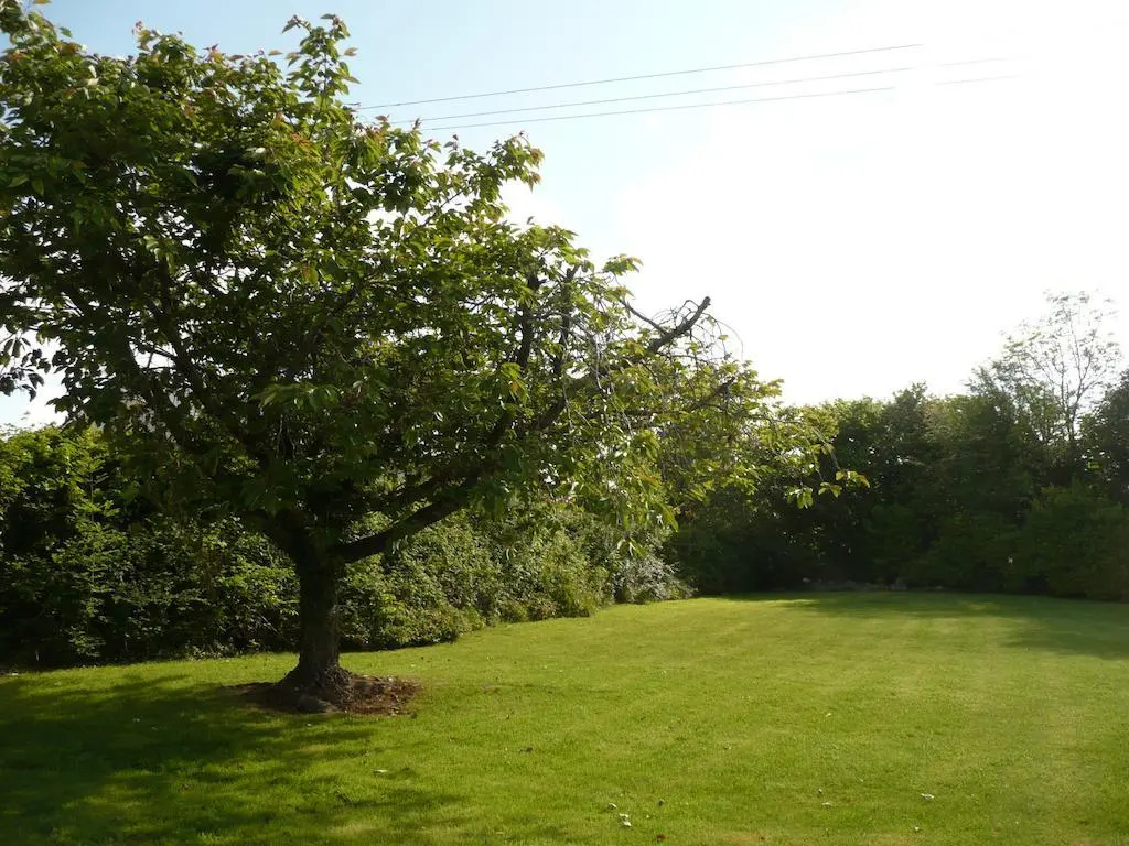 Ryehill B&B