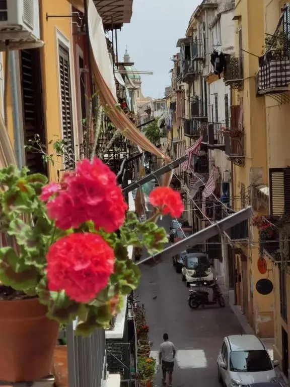 Il terrazzino sul Kemonia