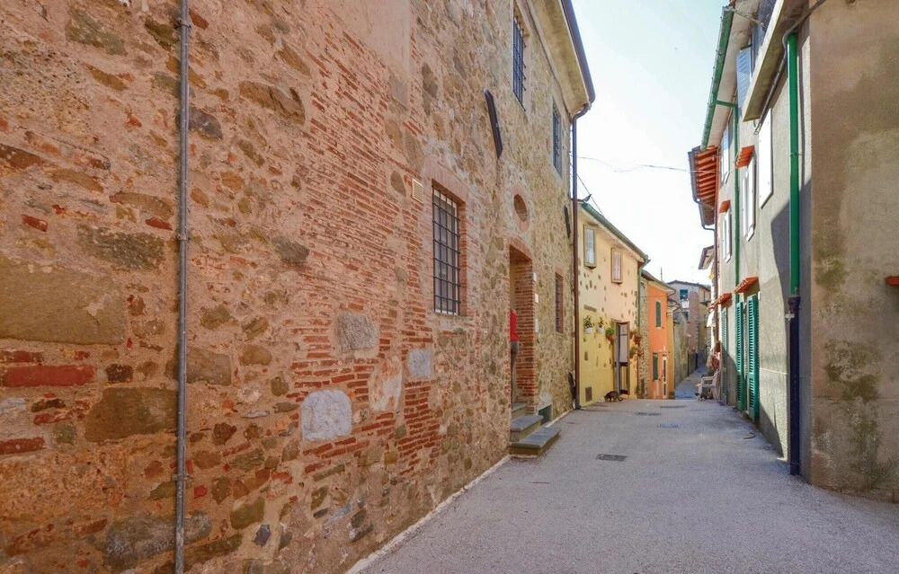 Pettirosso