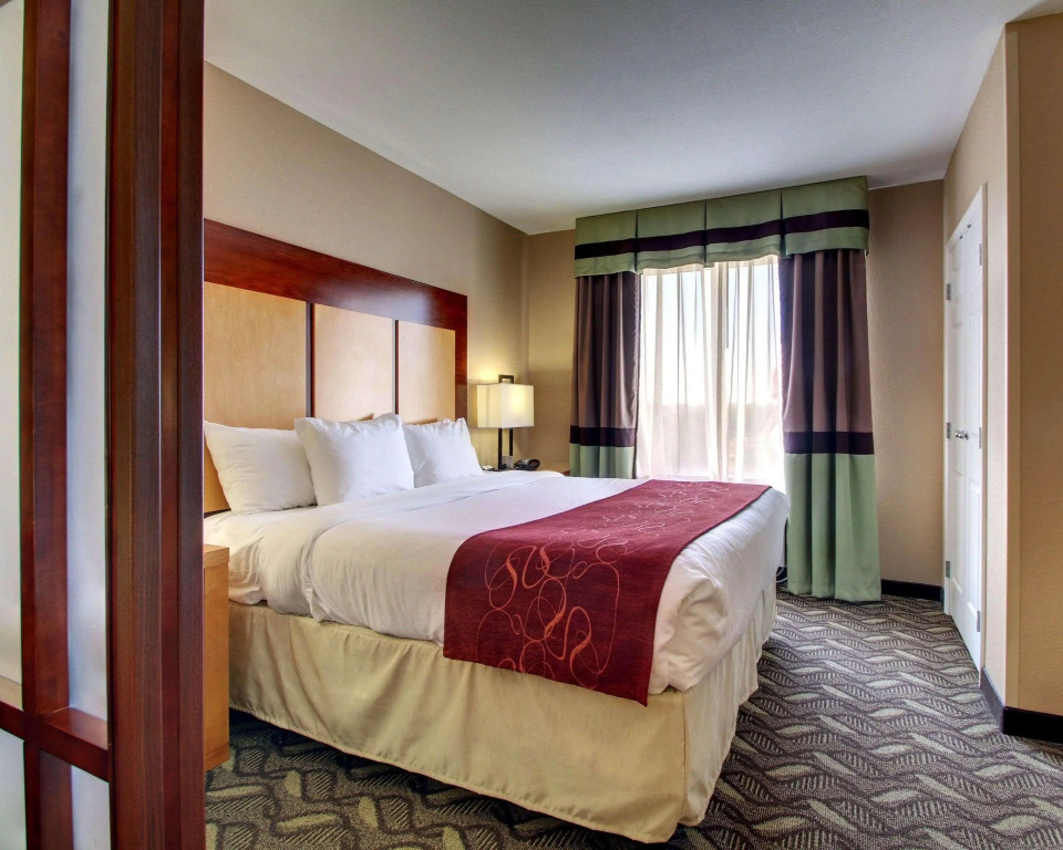 Comfort Suites Flowood - Jackson Airport