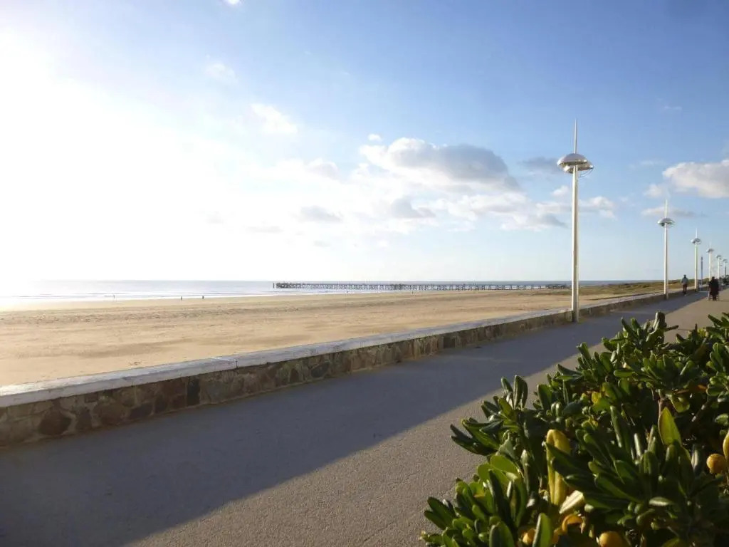 Appartement Saint-Jean-de-Monts, 2 pièces, 4 personnes - FR-1-224C-544