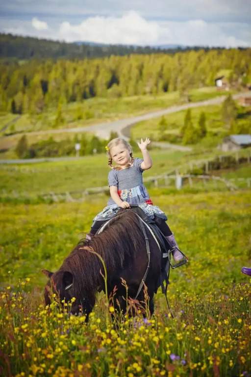 Storefjell Resort