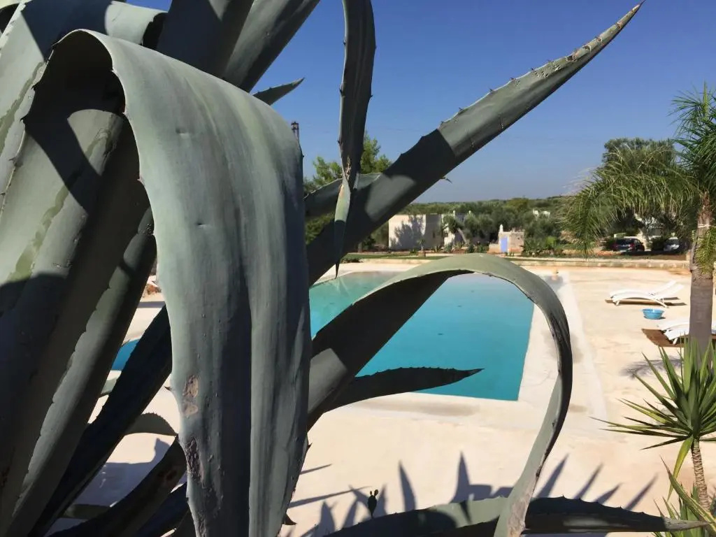 I Love Trullo