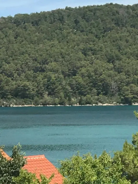 Apartments Dabelić