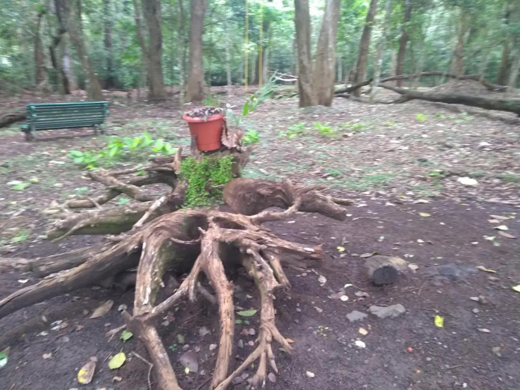 KTDC Periyar House Thekkady