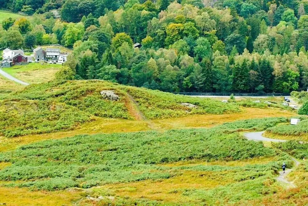 Pollys Cottage