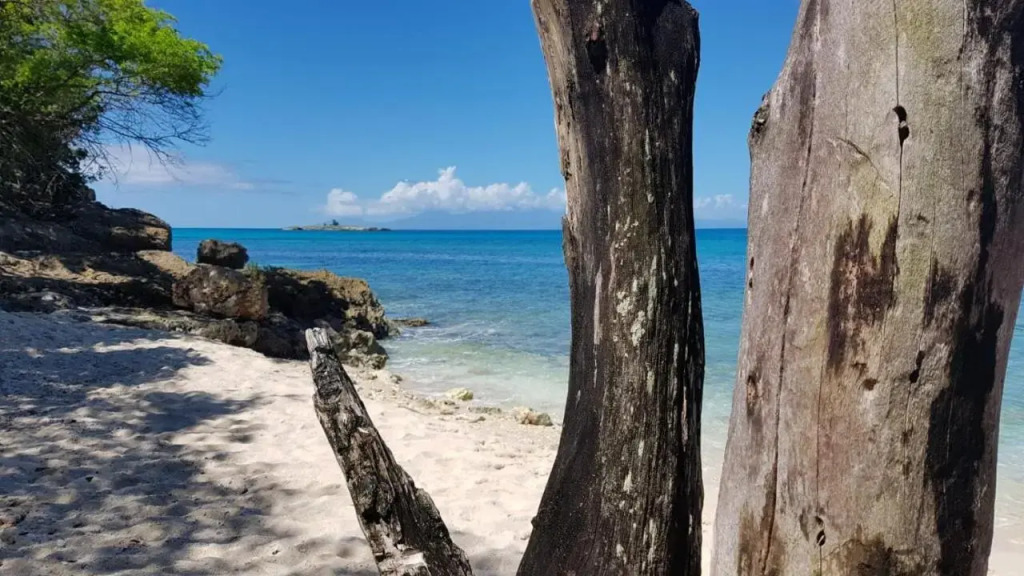 Cocktail Caraïbes, Résidence de Tourisme Meublée