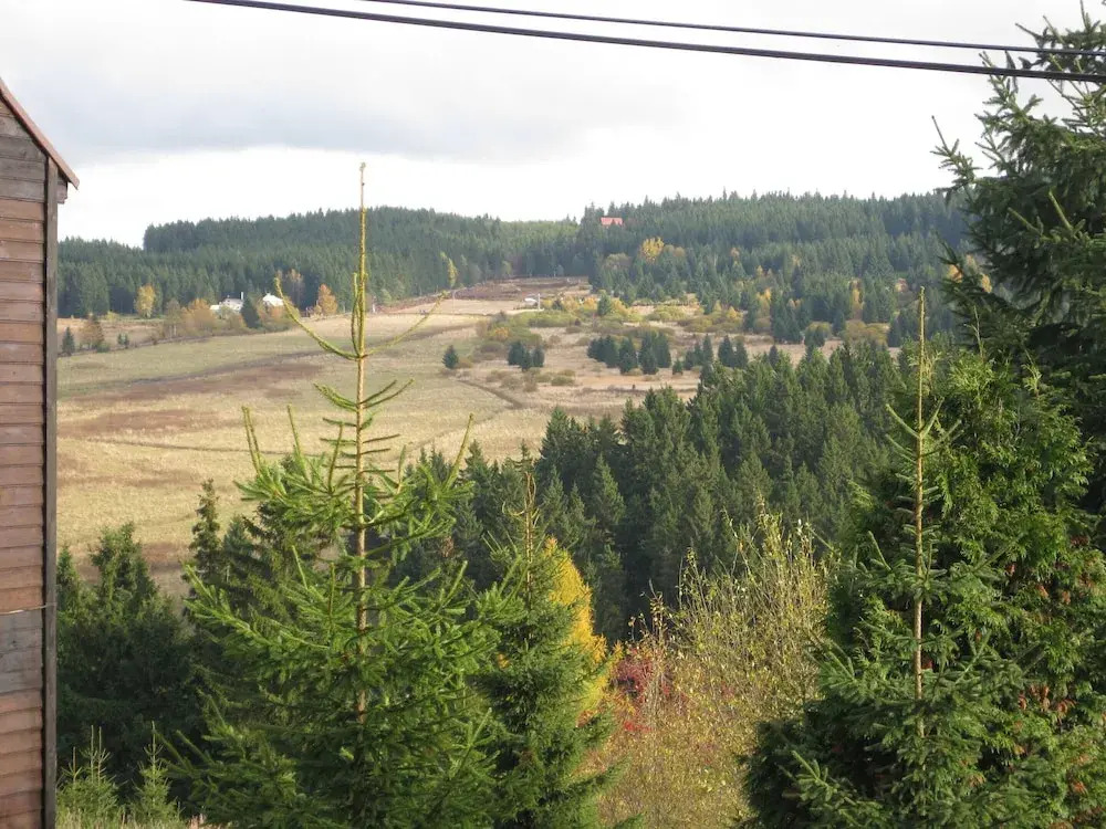 Lavish Holiday Home in Abertamy near Ski Area