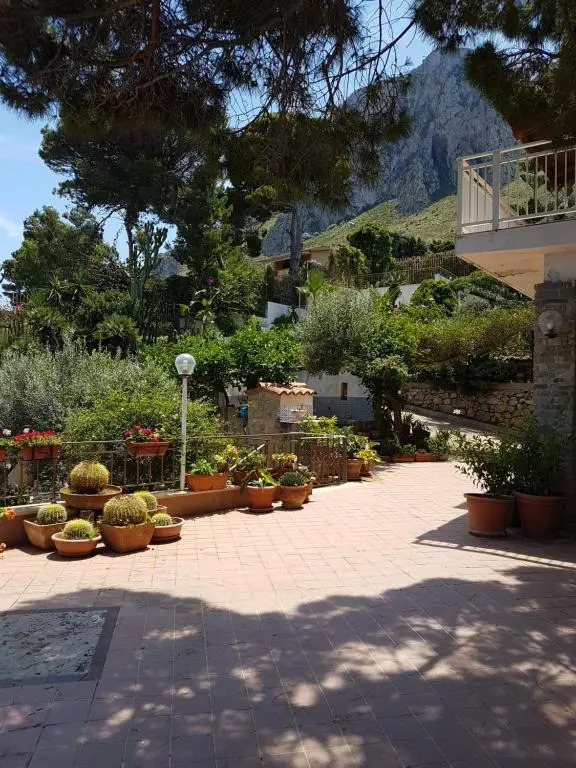 Suite Panoramic