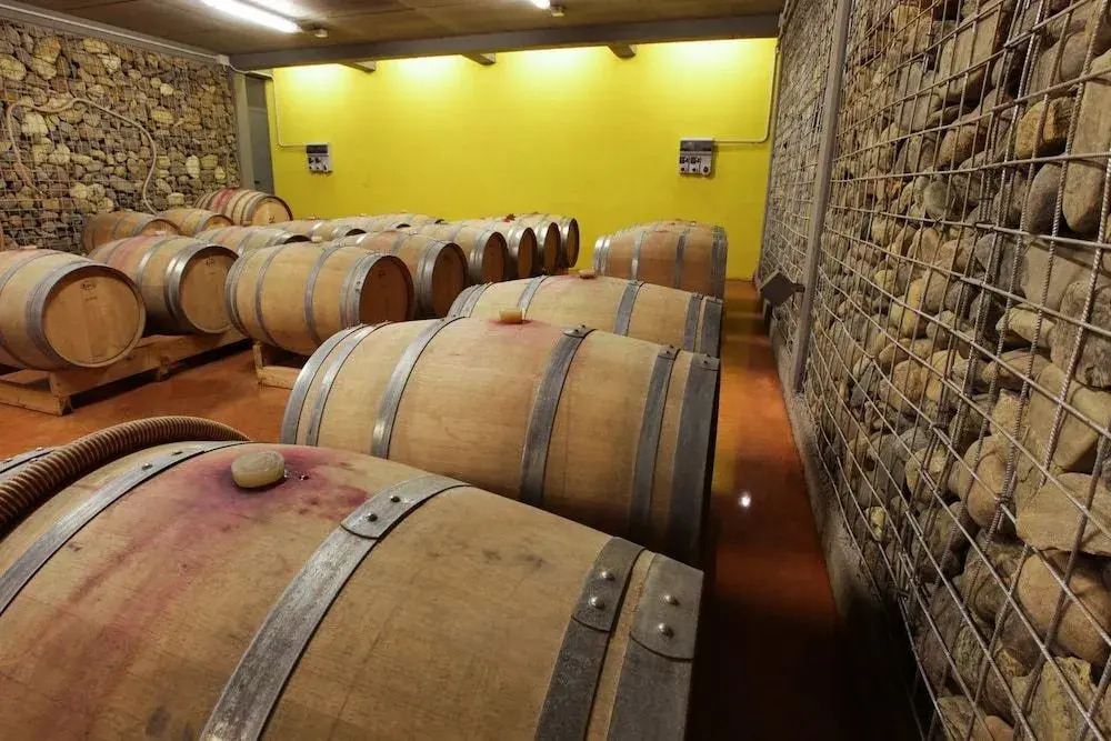 Eco Bio Agriturismo La Bella Vite - Camere Con Vigna