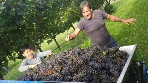 Agriturismo Linda