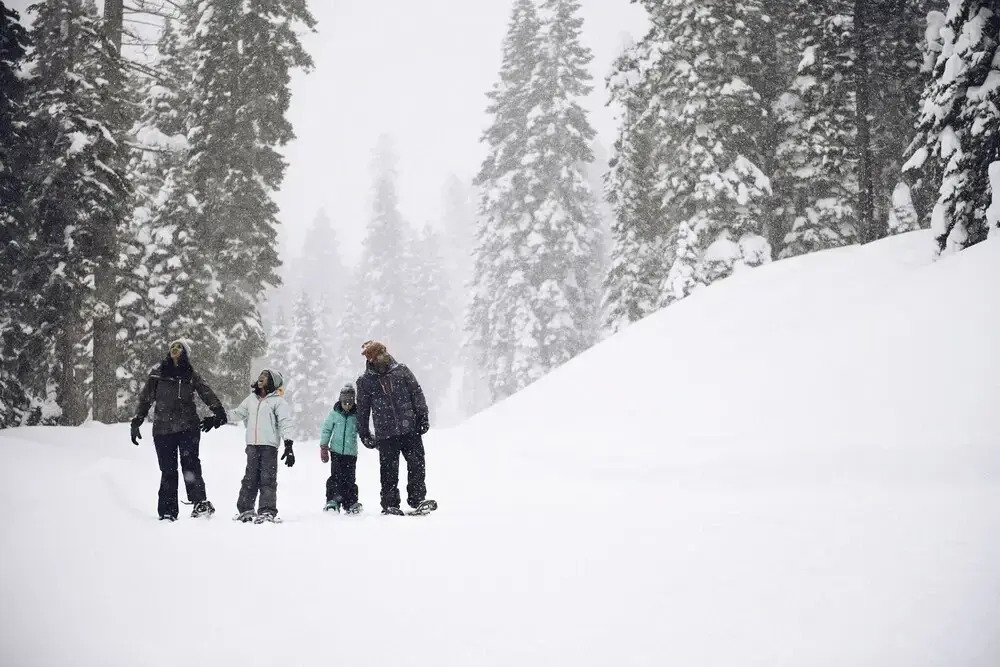 Cozy Aspen Grove 2 bed 2 bath by RedAwning Save 10% on 3 Nights, 15% on 5 Nights!