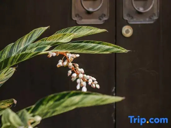 Wuyi Mountain Yueju Holiday Villa