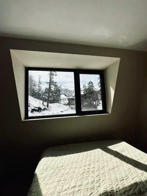 Window development apartment #32