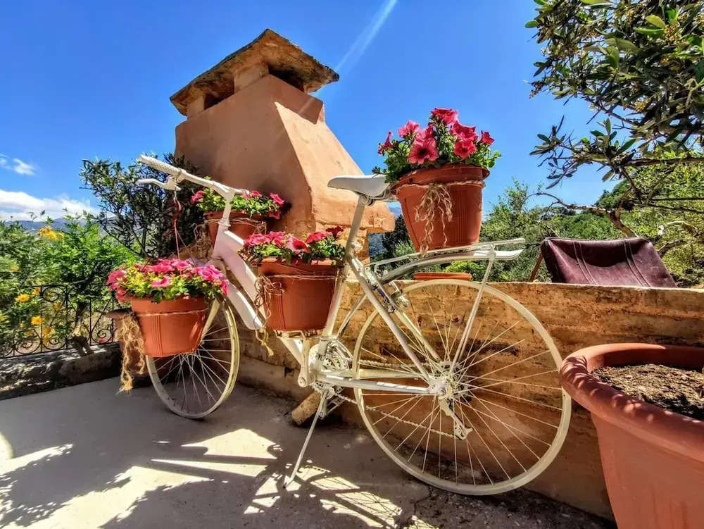 Thymes Traditional House