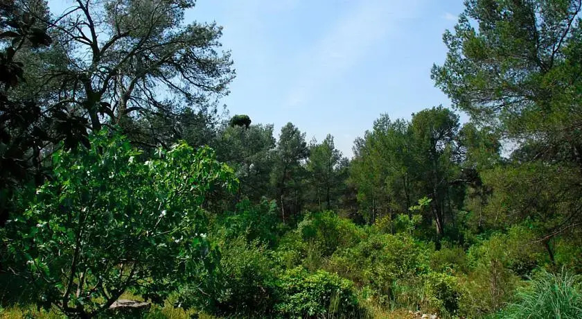 Villa au Coeur des Alpilles